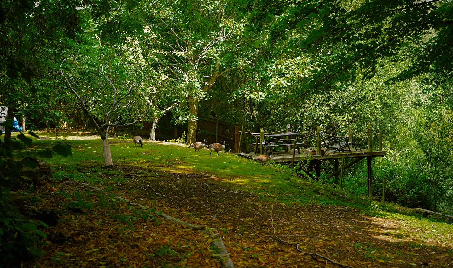Lodge Farm - Bawburgh Lakes